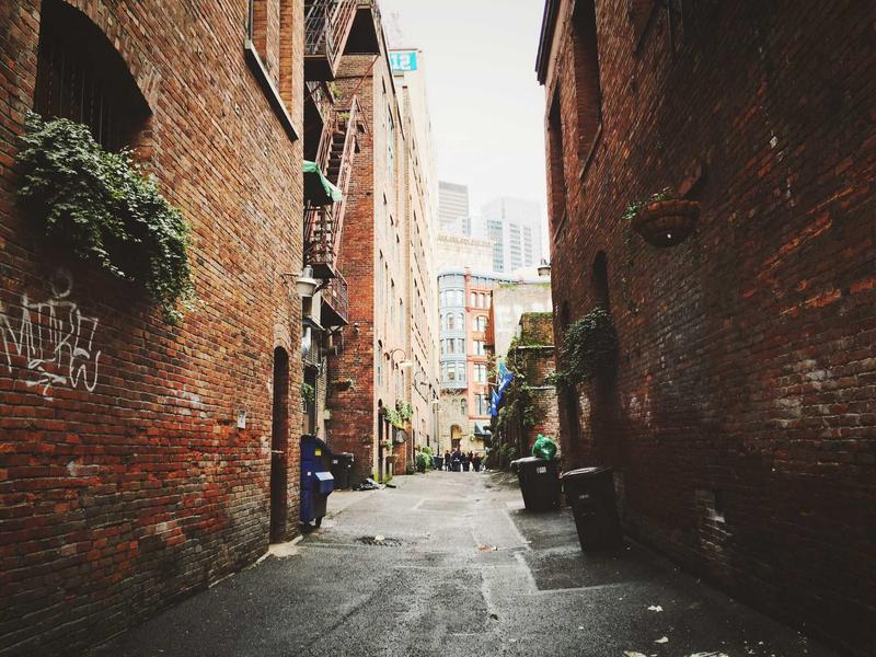 直播伴侣<br>推流监控与弹幕互动管理